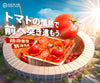 【TEST】お知らせ２